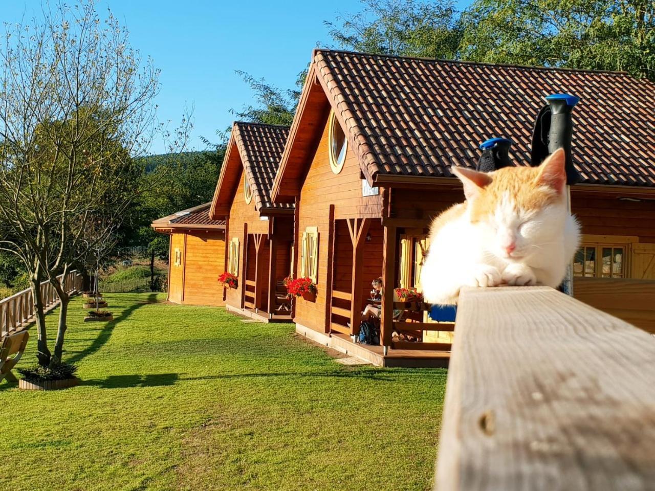 Lodge Da Ria